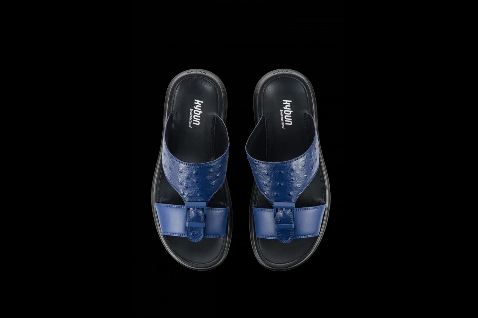 Ocean FG ostrich  - 3
